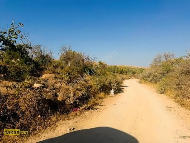 Yukarı Arıl Tek Tapu Ful Fıstık Zeytin Resmi Yola Cepheli Fırsat — fotoğraf 12