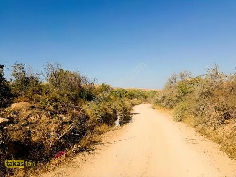 Yukarı Arıl Tek Tapu Ful Fıstık Zeytin Resmi Yola Cepheli Fırsat — fotoğraf 14