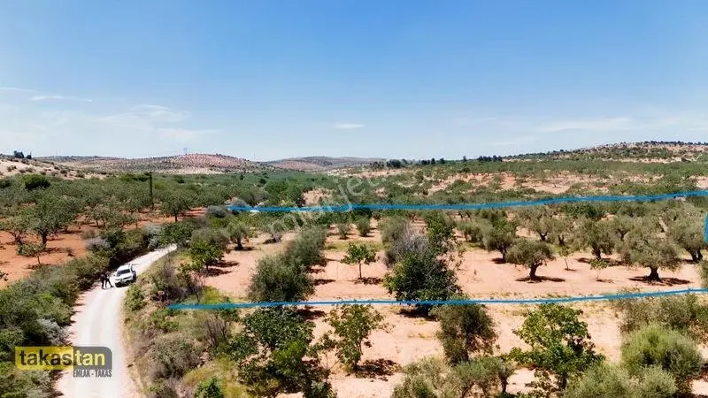 Yukarı Arıl Tek Tapu Ful Fıstık Zeytin Resmi Yola Cepheli Fırsat — fotoğraf 15