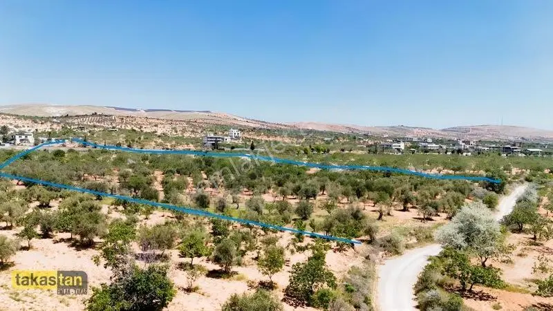 Yukarı Arıl Tek Tapu Ful Fıstık Zeytin Resmi Yola Cepheli Fırsat — fotoğraf 16