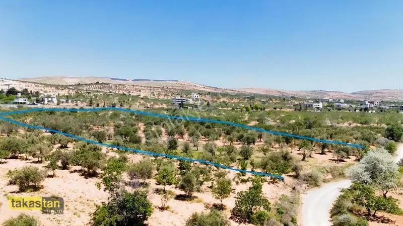 Yukarı Arıl Tek Tapu Ful Fıstık Zeytin Resmi Yola Cepheli Fırsat — fotoğraf 19