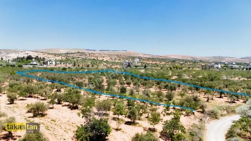 Yukarı Arıl Tek Tapu Ful Fıstık Zeytin Resmi Yola Cepheli Fırsat — fotoğraf 22