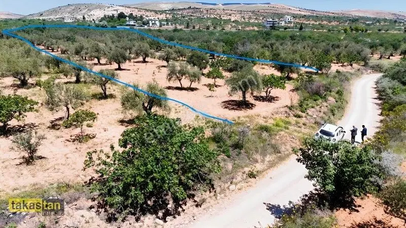 Yukarı Arıl Tek Tapu Ful Fıstık Zeytin Resmi Yola Cepheli Fırsat — fotoğraf 26