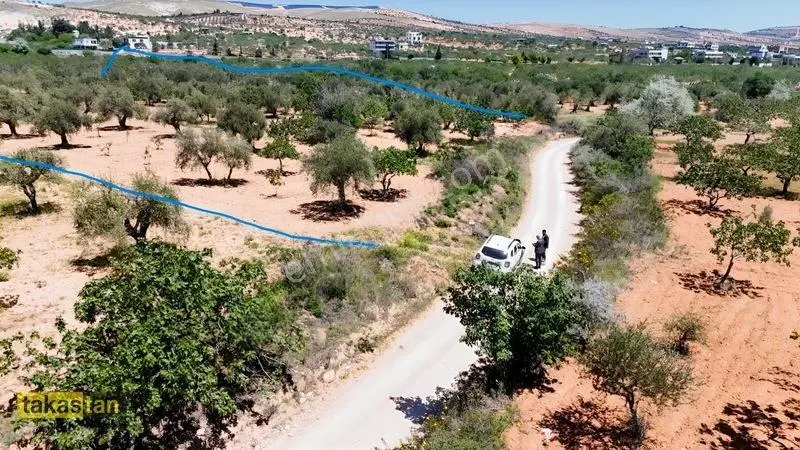 Yukarı Arıl Tek Tapu Ful Fıstık Zeytin Resmi Yola Cepheli Fırsat — fotoğraf 27