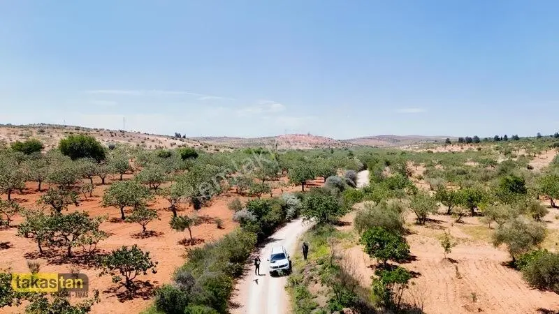 Yukarı Arıl Tek Tapu Ful Fıstık Zeytin Resmi Yola Cepheli Fırsat — fotoğraf 28