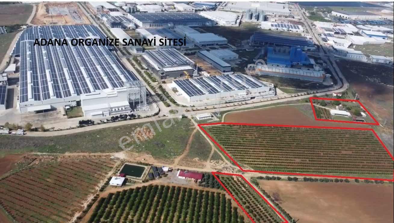 Zorlu'dan Aosb Bitişiğinde 194 Dönüm Naranciye Bahçesi/tarla ! — fotoğraf 16