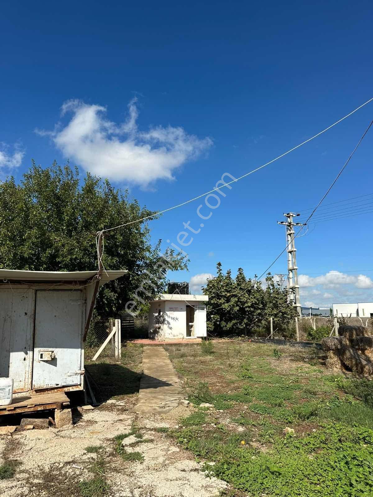 Zorlu'dan Aosb Bitişiğinde 194 Dönüm Naranciye Bahçesi/tarla ! — fotoğraf 23
