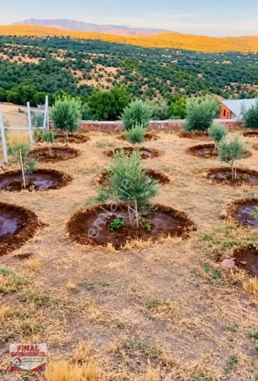 Koruköy 486 M2 ,2.5 Kat İmarlı Arsa — fotoğraf 6