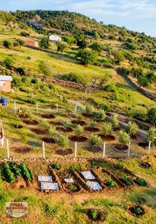 Koruköy 486 M2 ,2.5 Kat İmarlı Arsa — fotoğraf 10
