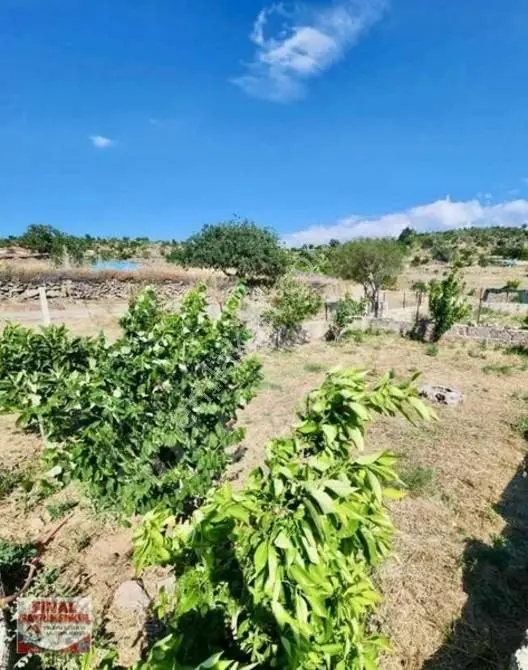 Koruköy 486 M2 ,2.5 Kat İmarlı Arsa — fotoğraf 14