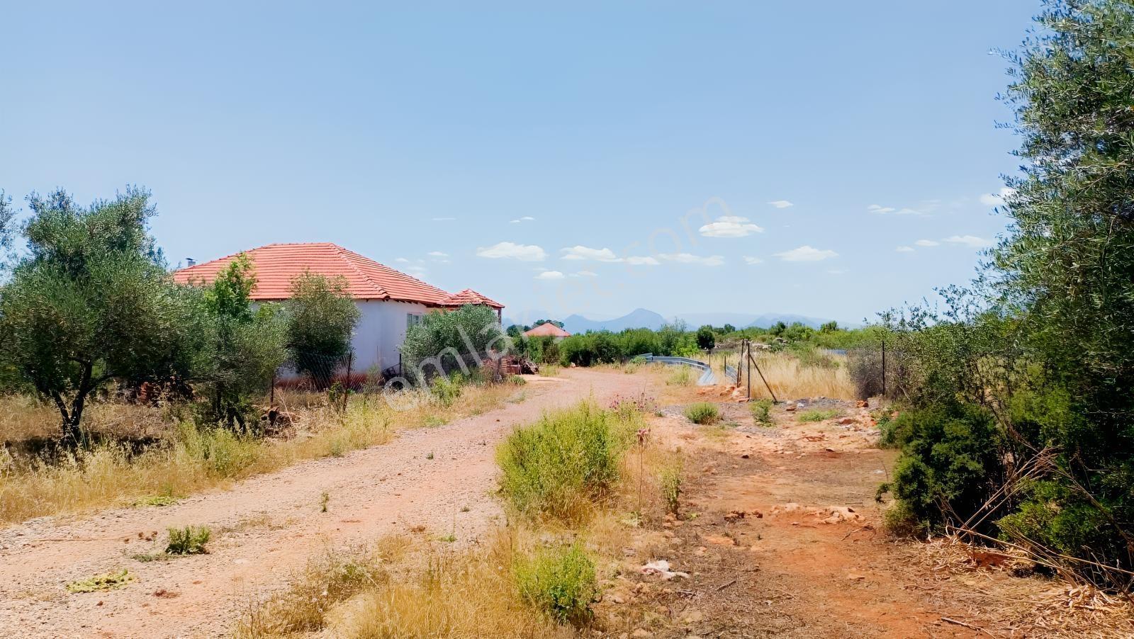 Geniş Doğa Manzaralı 2192 M² Satılık Tarla