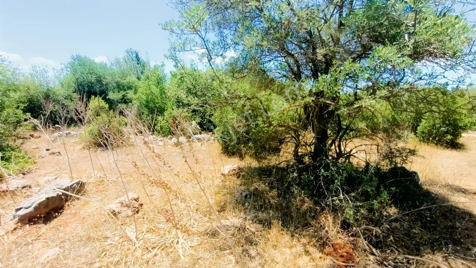 Geniş Doğa Manzaralı 2192 M² Satılık Tarla — fotoğraf 2