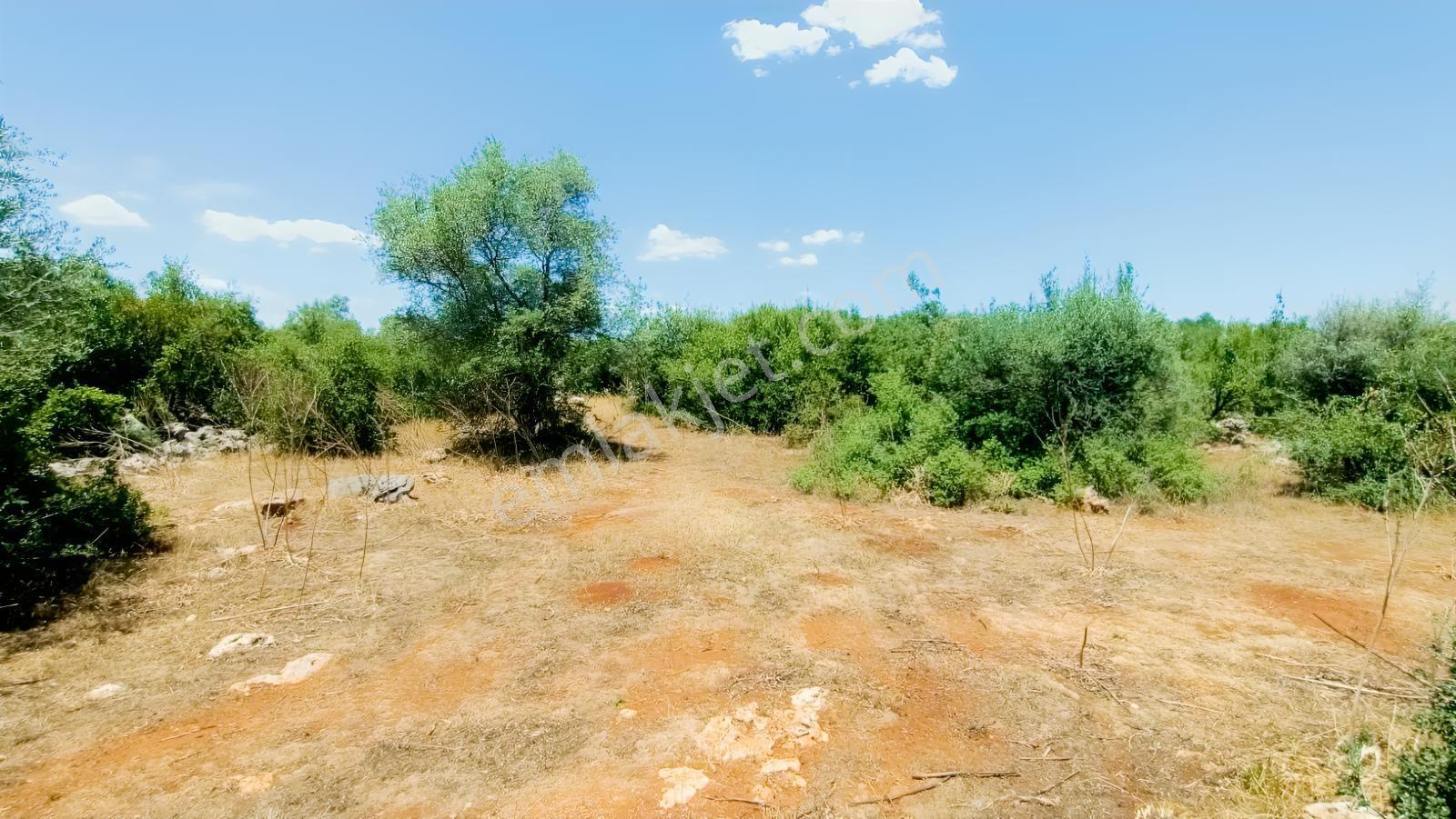 Geniş Doğa Manzaralı 2192 M² Satılık Tarla — fotoğraf 4
