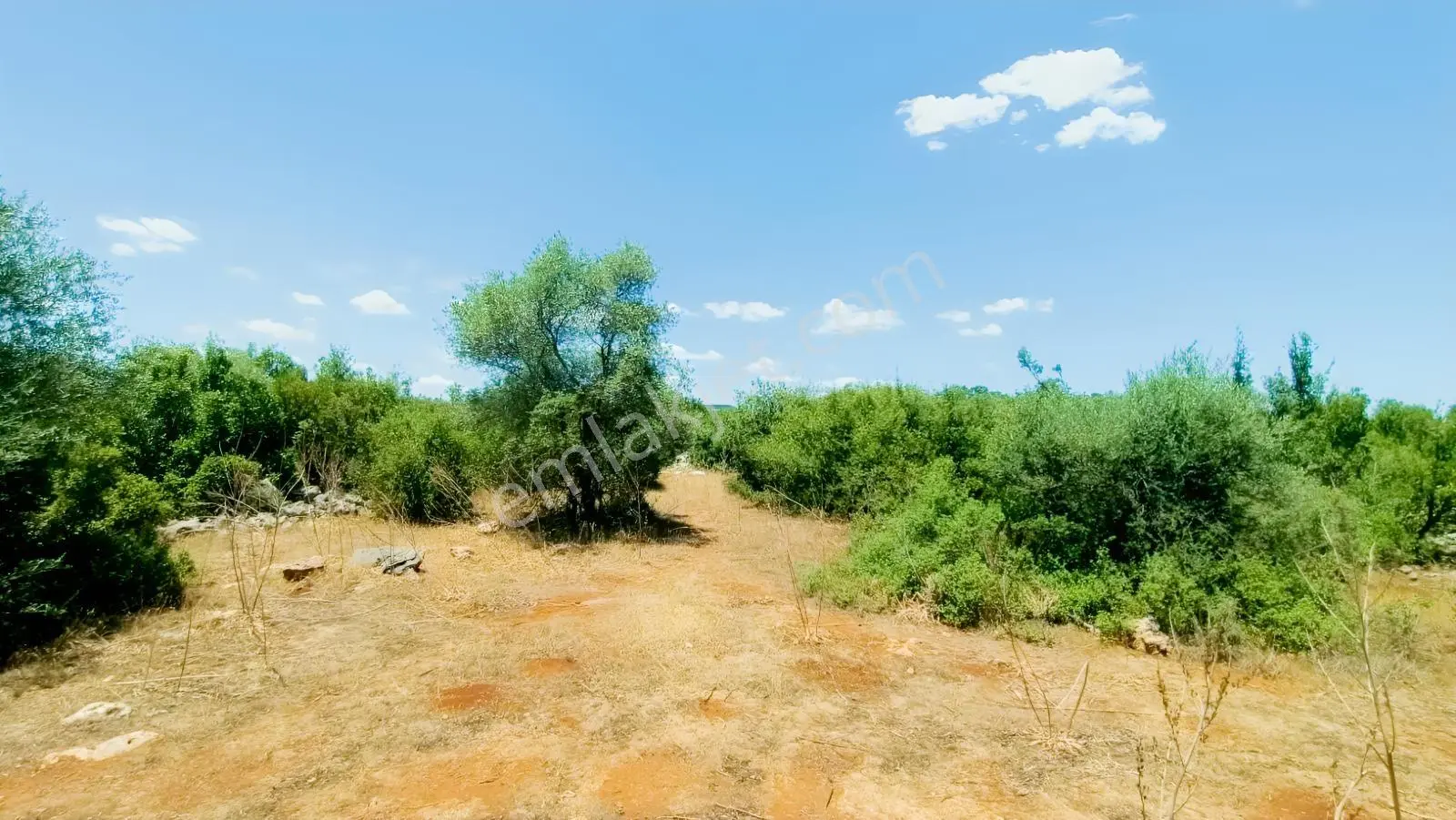 Geniş Doğa Manzaralı 2192 M² Satılık Tarla — fotoğraf 5