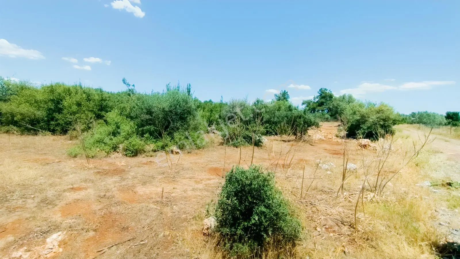 Geniş Doğa Manzaralı 2192 M² Satılık Tarla — fotoğraf 7
