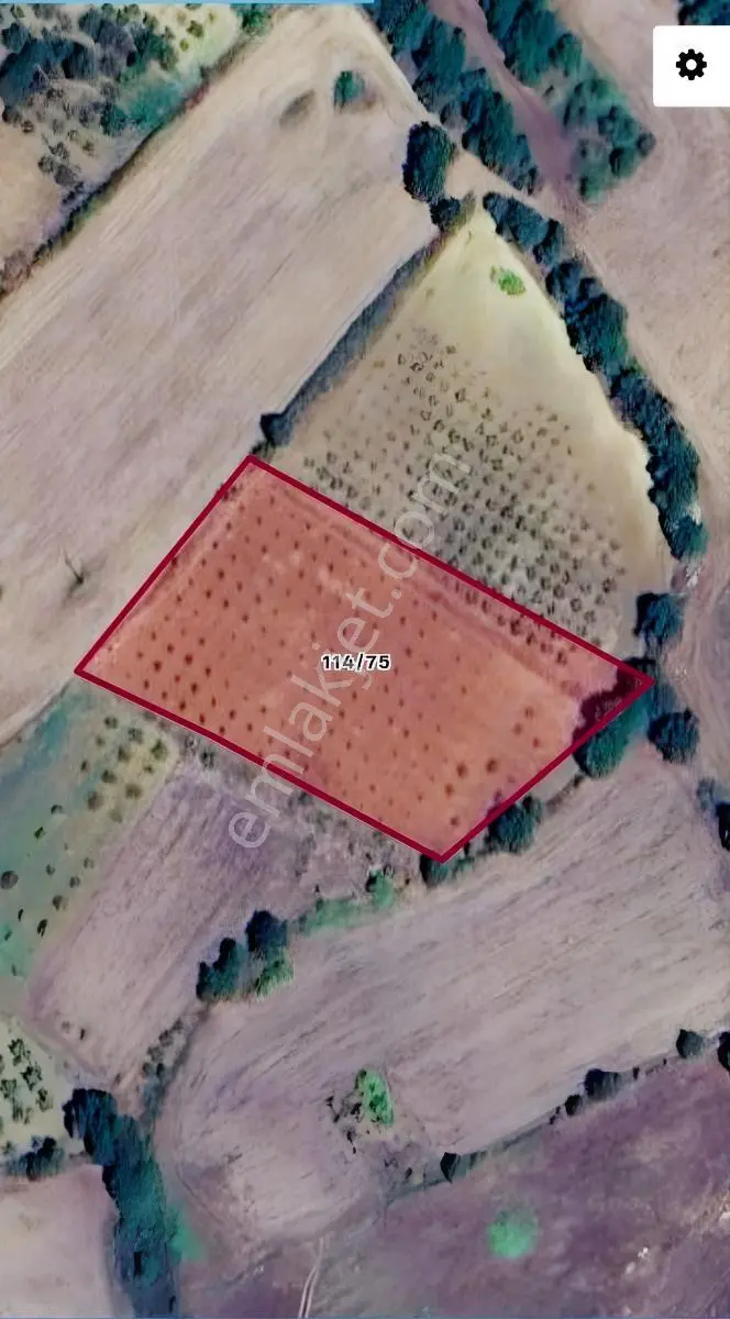 Doğa İçinde Yatırımlık 5646 M² Satılık Tarla