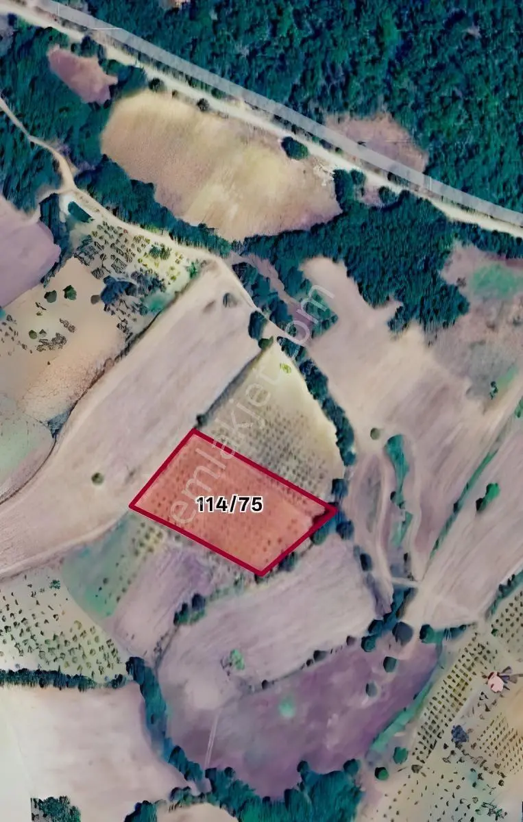 Doğa İçinde Yatırımlık 5646 M² Satılık Tarla — fotoğraf 2