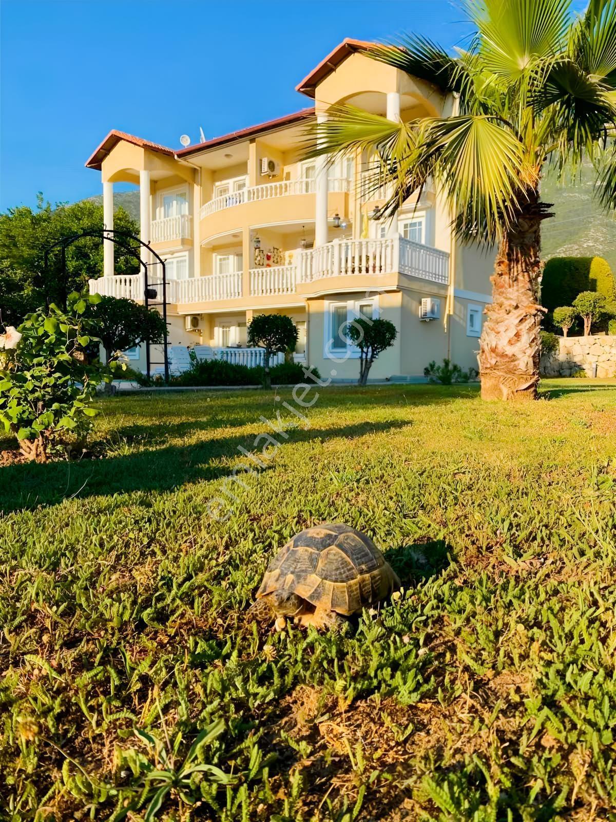 Fethiye Ölüdeniz Hisarönünde Satılık Havuzlu Eşyalı Dublex Daire — fotoğraf 2