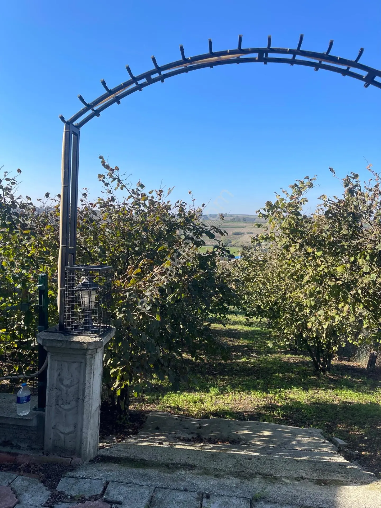 Sakarya Söğütlü’de 2.800 M² Fındık Bahçesi İçerisinde Müstakil Ev — fotoğraf 4