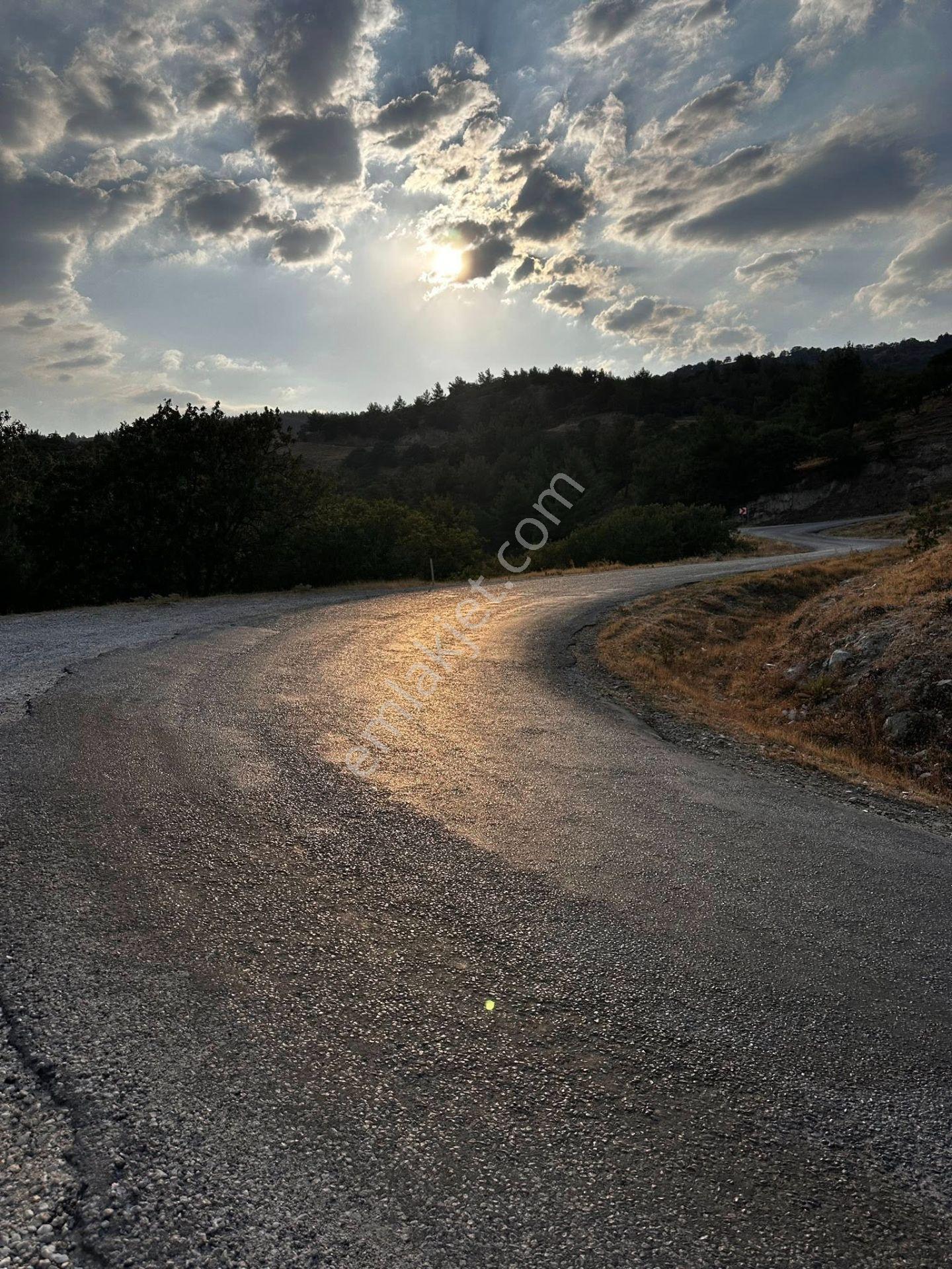 Buharkent Muratdağında 6.243 M² Satılık Tarla — fotoğraf 2