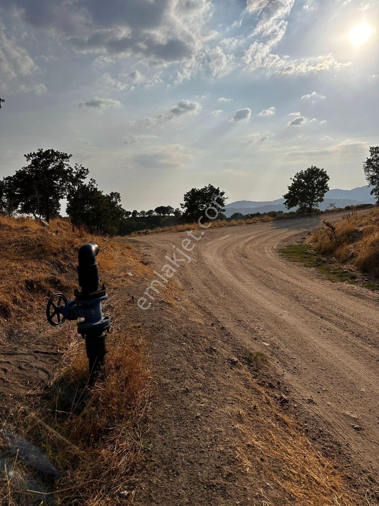 Buharkent Muratdağında 6.243 M² Satılık Tarla — fotoğraf 3