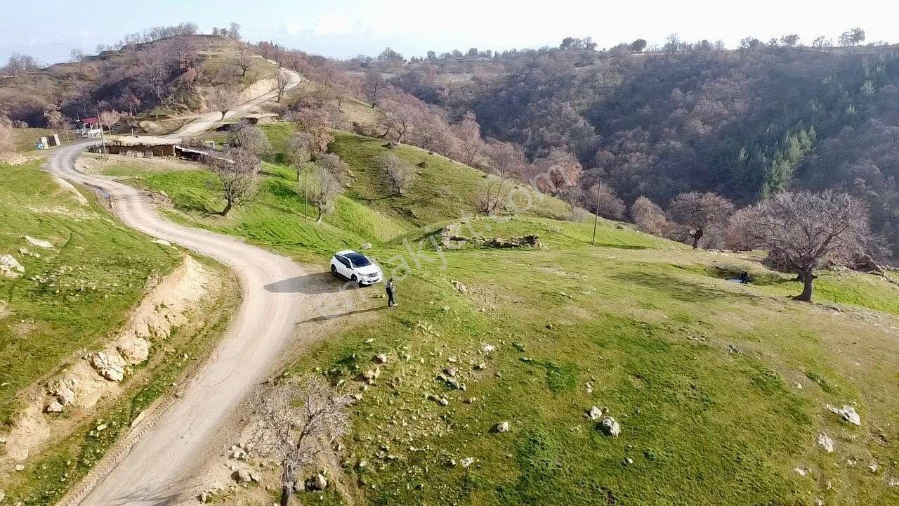 Buharkent Muratdağında 6.243 M² Satılık Tarla — fotoğraf 4