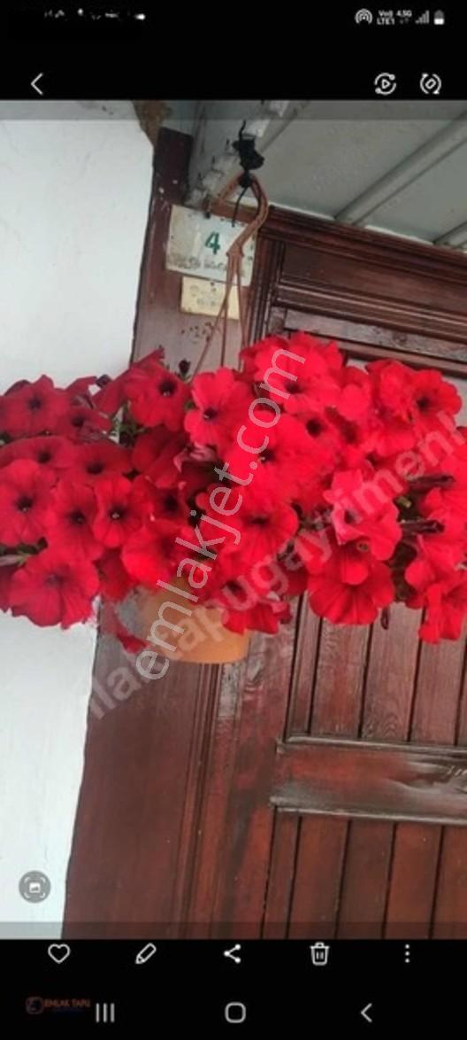 Muğla Merkez'de Satılık 2+1 Bahçeli Müstakil Ev — fotoğraf 35