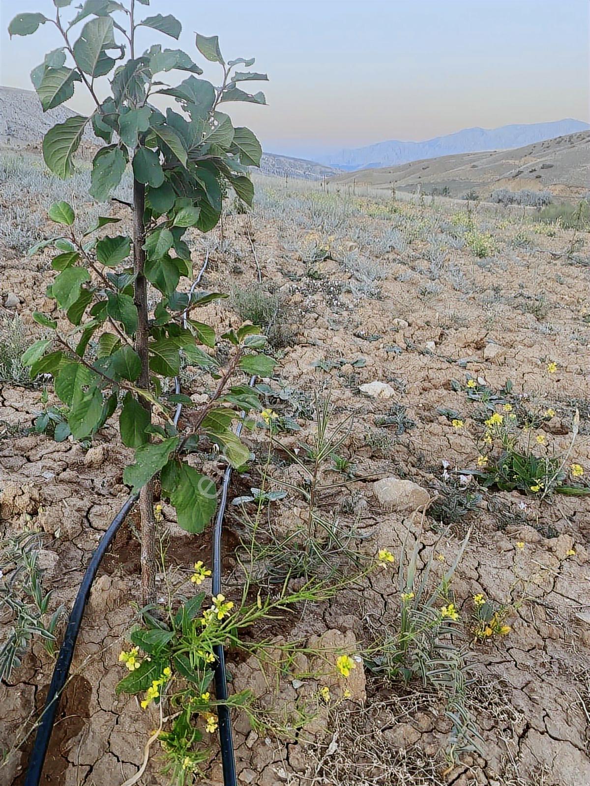 Tunç Harita Emlak'tan Ulukışla Kılan Yaylasında Fırsat Bahçe