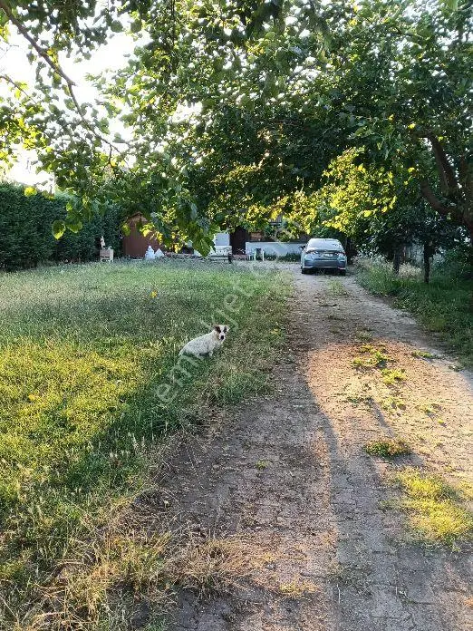 Arapçiftliği Asfalt Yola 16 M Cephe Fırsat 711 M2 Villalık Arsa — fotoğraf 11