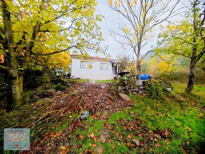 Osmangazi Gökçeören De Satılık 1540 M2 Tarla Tapu Kayıtlı Ev