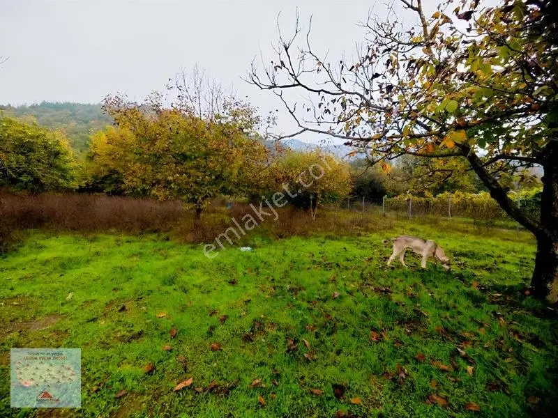 Osmangazi Gökçeören De Satılık 1540 M2 Tarla Tapu Kayıtlı Ev — fotoğraf 6