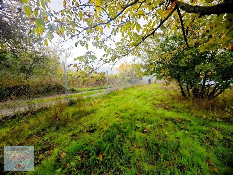 Osmangazi Gökçeören De Satılık 1540 M2 Tarla Tapu Kayıtlı Ev — fotoğraf 7