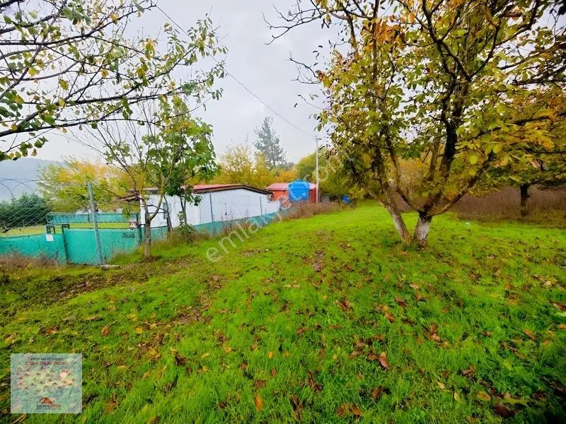 Osmangazi Gökçeören De Satılık 1540 M2 Tarla Tapu Kayıtlı Ev — fotoğraf 10