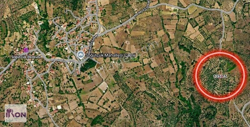 Milas Söğütçükte Satılık Yola Cepheli Zeytinlik