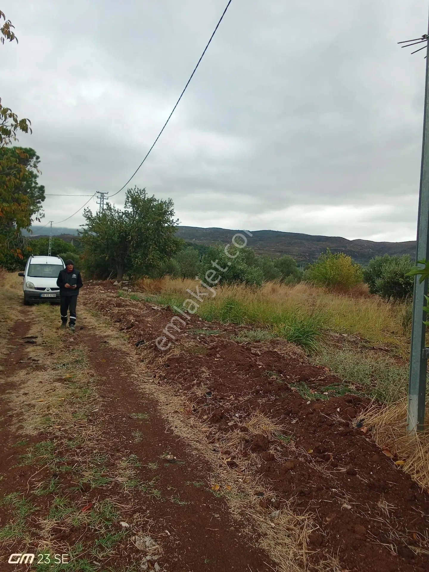 Akhisar Yenice'de Satılık 3125 M² Bakımlı Zeytinlik — fotoğraf 4