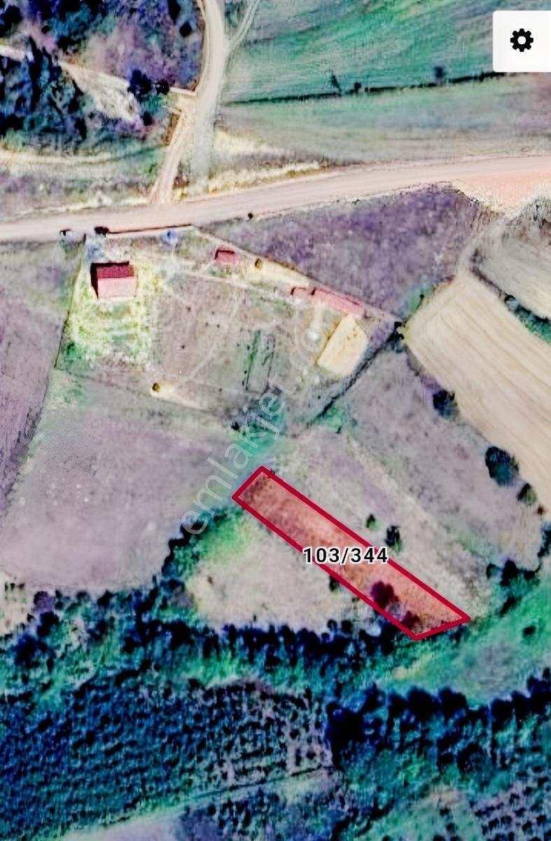 Kocaeli Kandıra Elmacık'ta Satılık Tarla