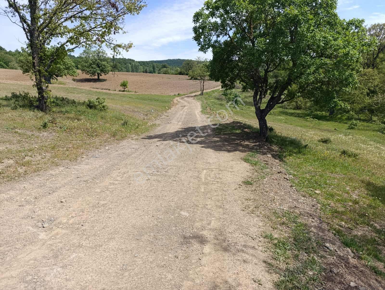 Kestel Nüshetiye Satılık 362 M2 Satılık Hisseli Tarla