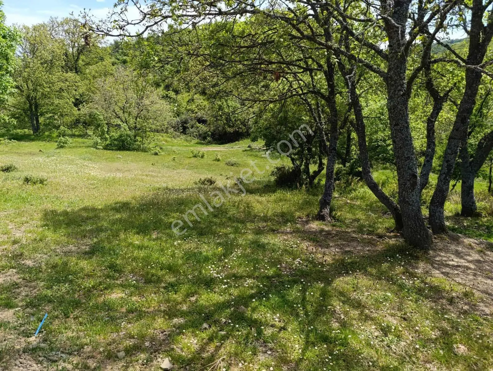 Kestel Nüshetiye Satılık 362 M2 Satılık Hisseli Tarla — fotoğraf 3