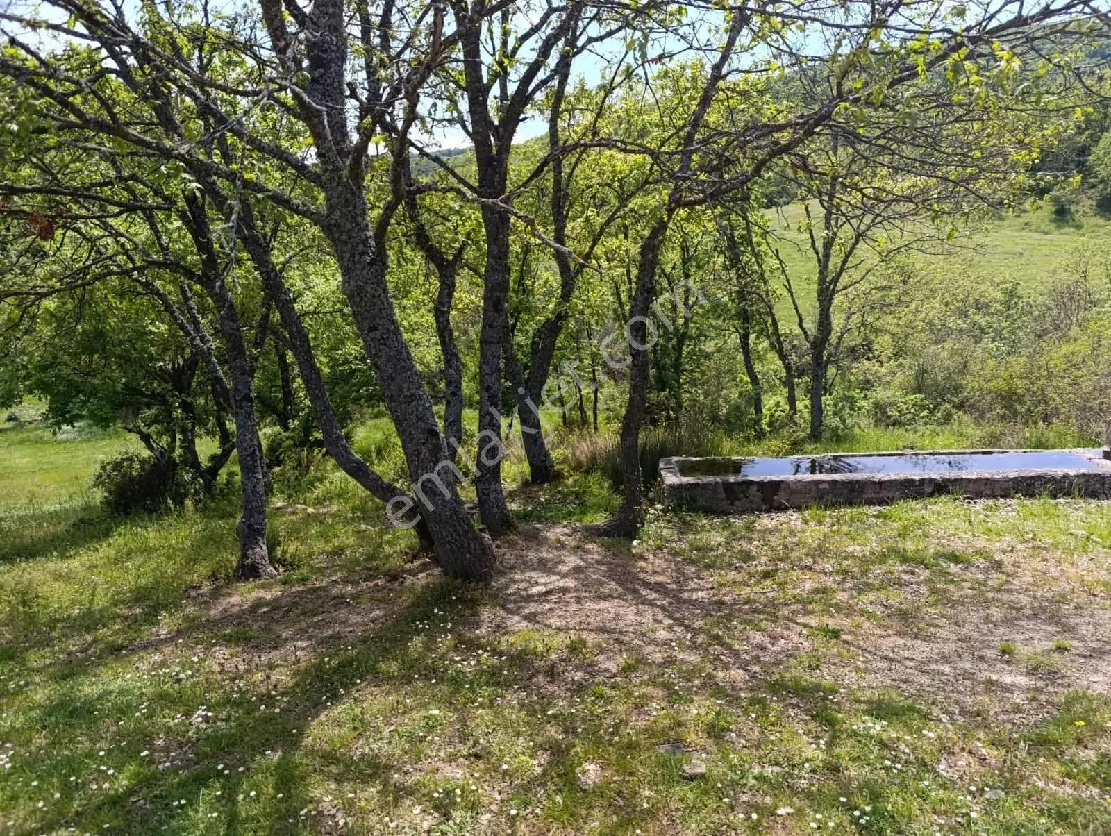Kestel Nüshetiye Satılık 362 M2 Satılık Hisseli Tarla — fotoğraf 4