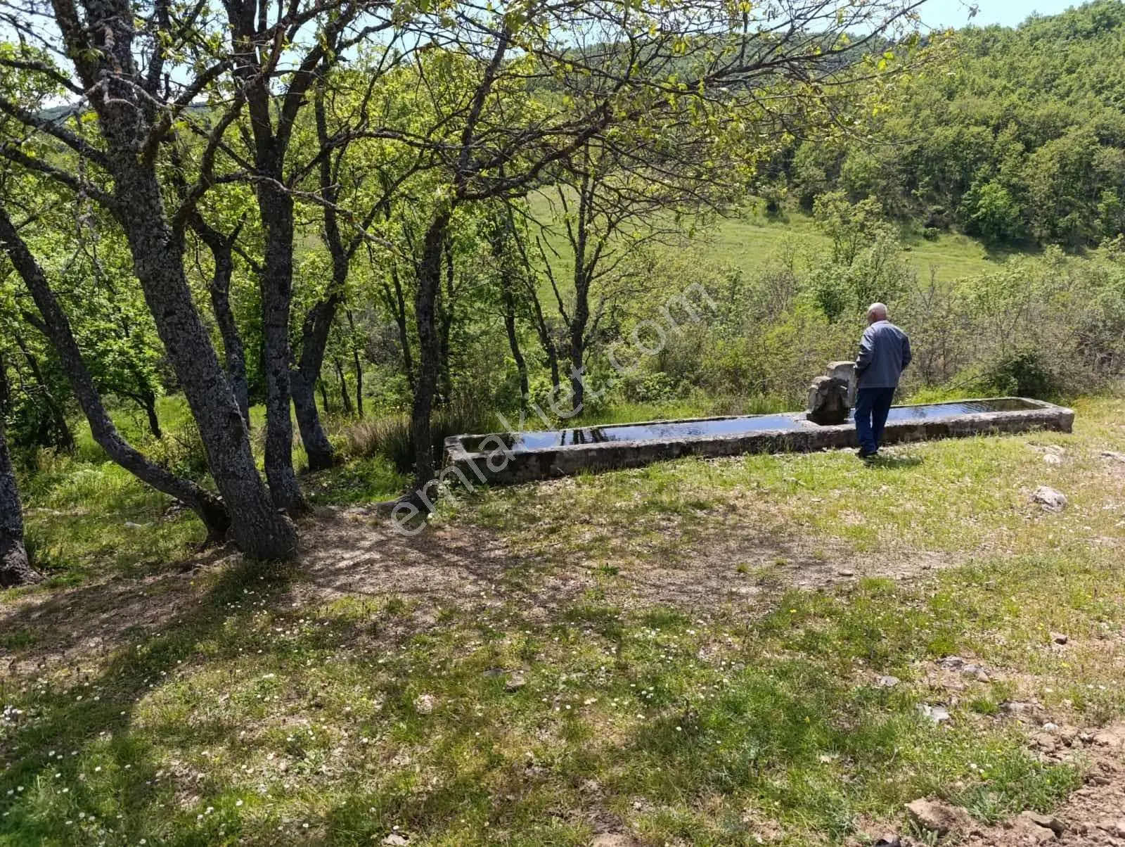 Kestel Nüshetiye Satılık 362 M2 Satılık Hisseli Tarla — fotoğraf 5