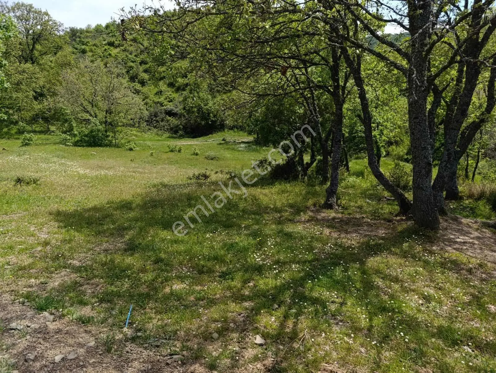Kestel Nüshetiye Satılık 362 M2 Satılık Hisseli Tarla — fotoğraf 6