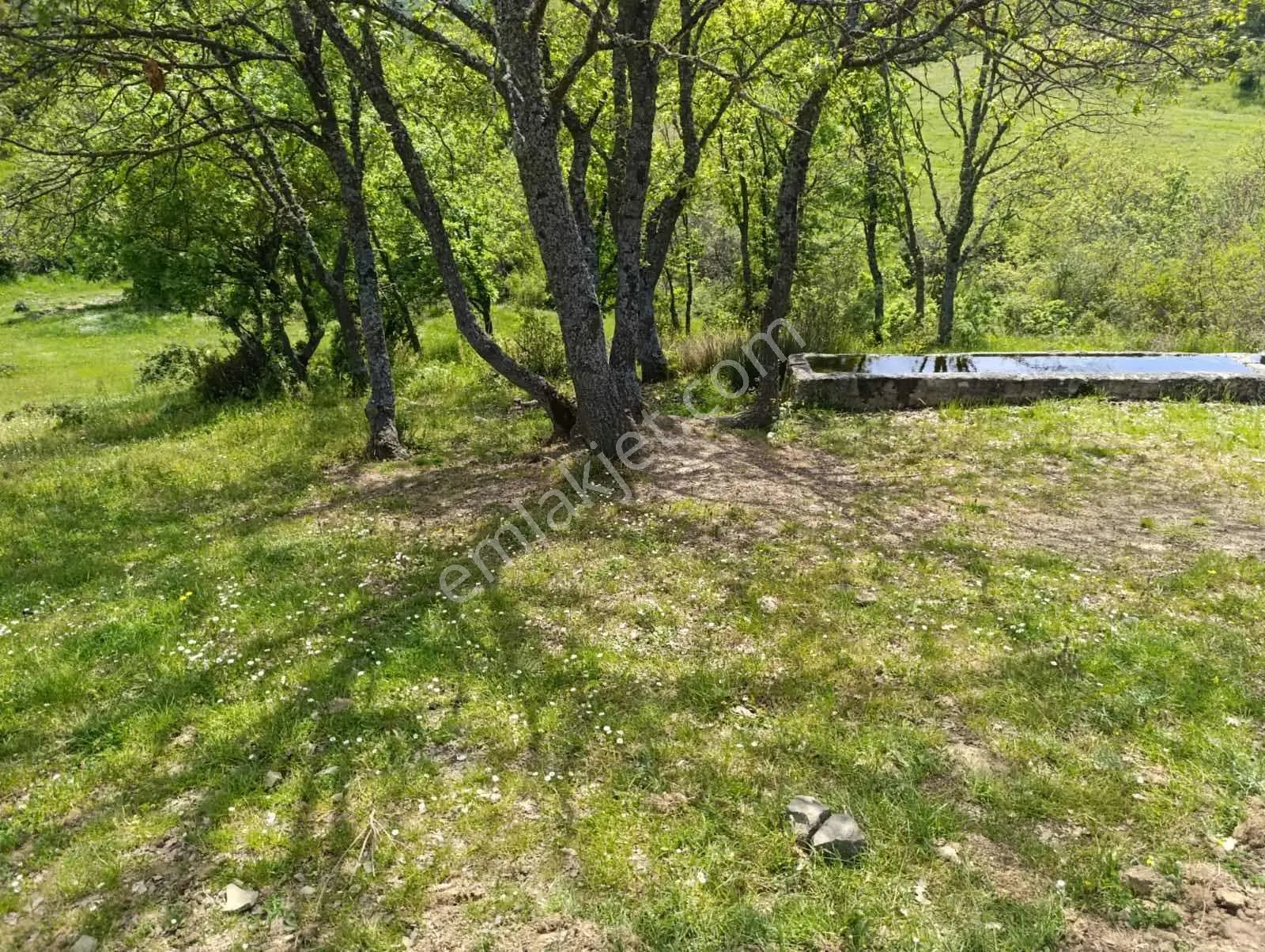 Kestel Nüshetiye Satılık 362 M2 Satılık Hisseli Tarla — fotoğraf 7