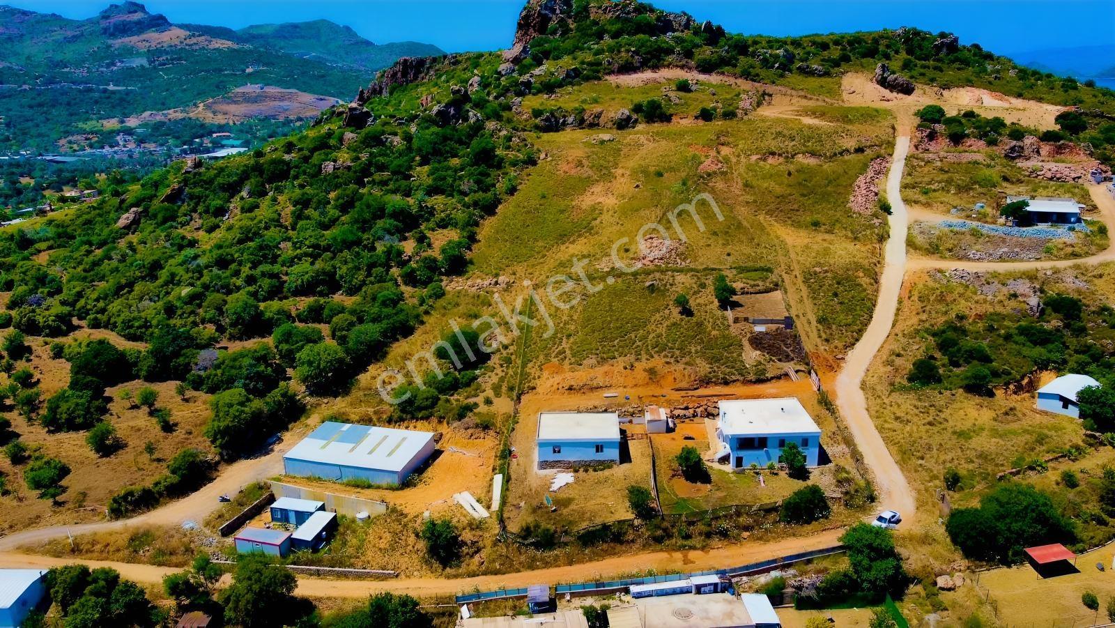 Turgutreis'te Kooperatif Hisseli 8.518 Mt2 Satılık Arsa — fotoğraf 2