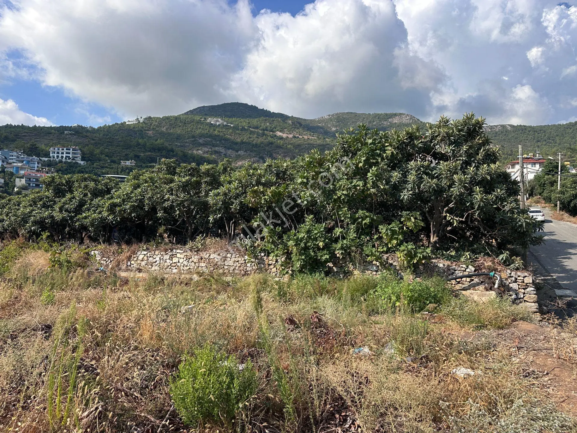 Alanya Cikcilli'de Deniz, Kale Ve Şehir Manzaralı Satılık Arsa — fotoğraf 11