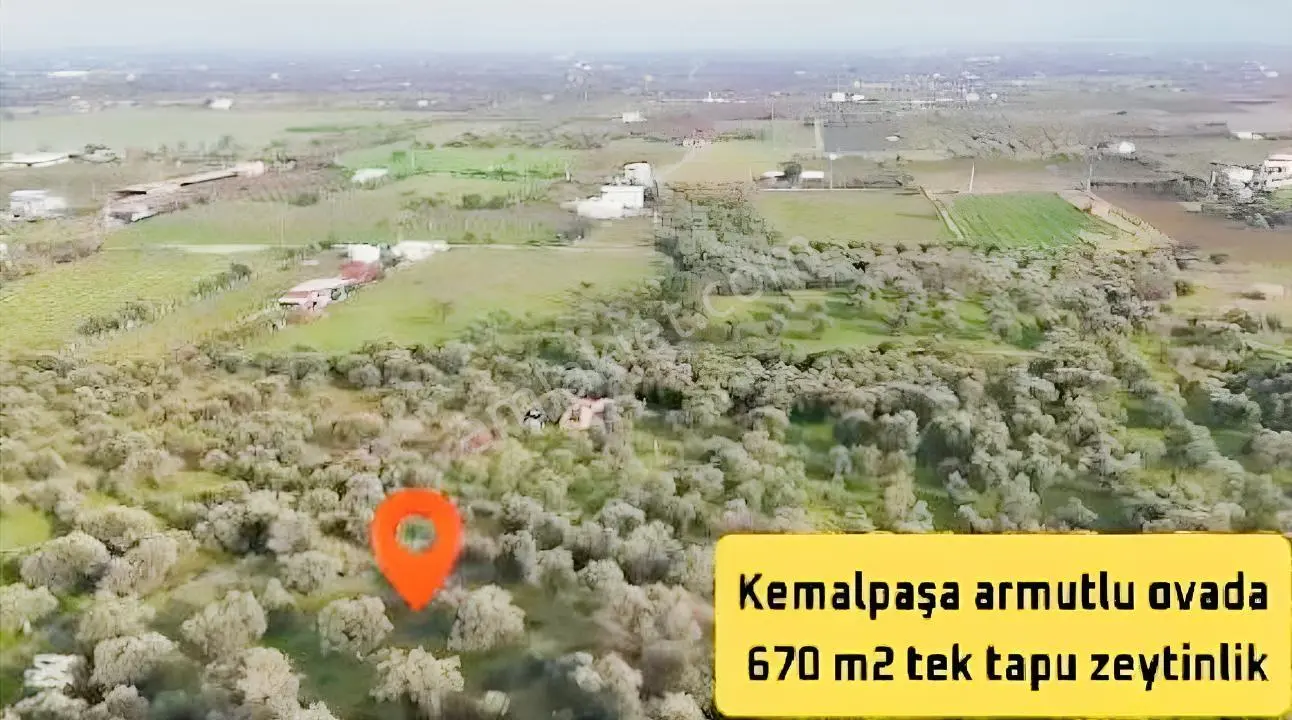 Armutlu Hürriyet Mahallesi'Nde 670 M2 Satılık Zeytinlik