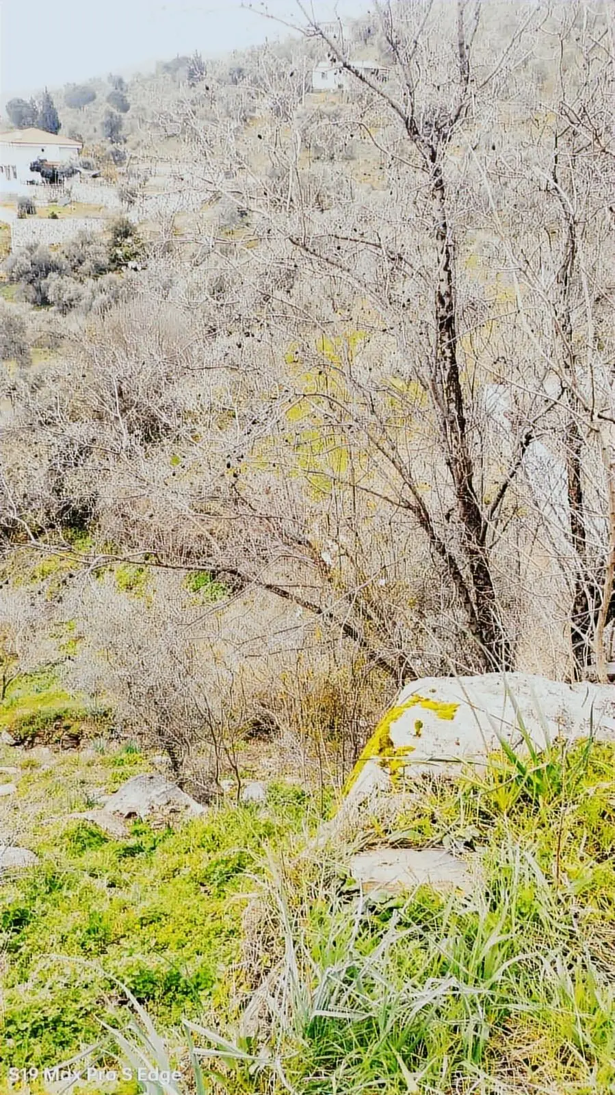 Bodrum/kemikler'de Ruhsat Alımış 685 Mt2 İmarlı Yatırımlık Arsa. — fotoğraf 6