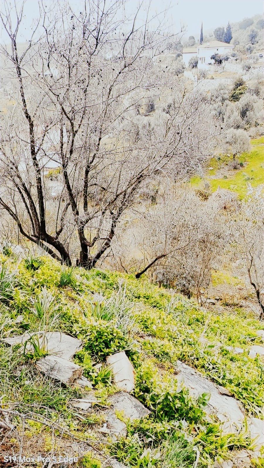 Bodrum/kemikler'de Ruhsat Alımış 685 Mt2 İmarlı Yatırımlık Arsa. — fotoğraf 13
