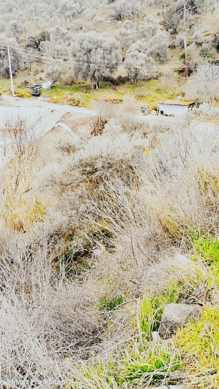 Bodrum/kemikler'de Ruhsat Alımış 685 Mt2 İmarlı Yatırımlık Arsa. — fotoğraf 22