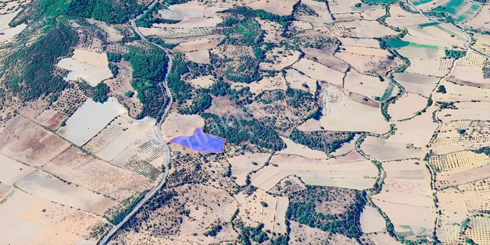 217 İzmir Bergama Sarıcaoğlu Satılık Tarla — fotoğraf 6