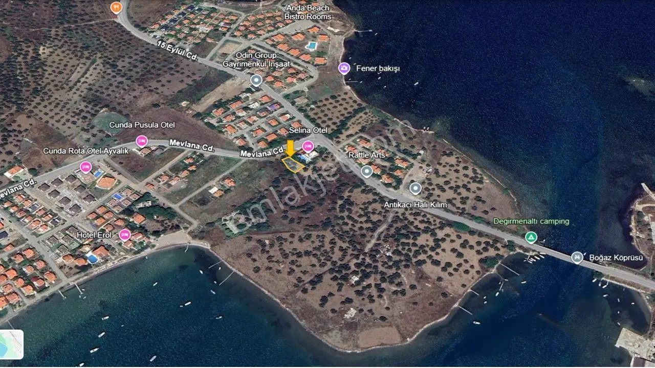 Ayvalık Cunda Satılık 421 M² Yola Sıfır Zeytinlik — fotoğraf 5
